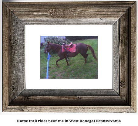 horse trail rides near me in West Donegal, Pennsylvania